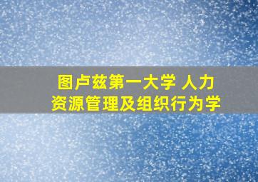 图卢兹第一大学 人力资源管理及组织行为学